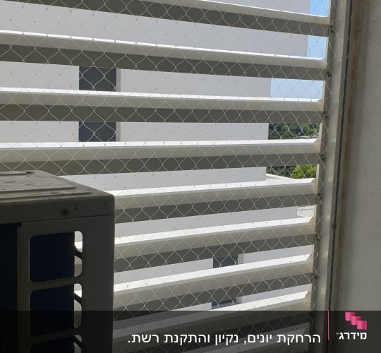 רשת למניעת כניסת יונים על חלון עם תריסים